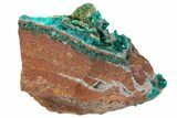 Green Dioptase Crystals on Dolomite - Mpita Prospect, Congo #131260-2